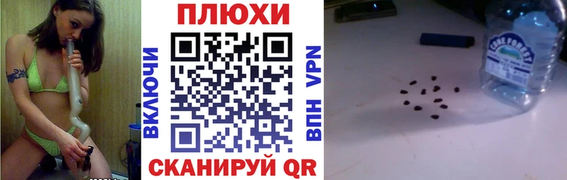 закладка  Сим  Гашиш Изолятор 