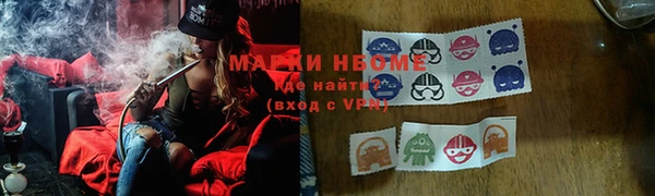прущие грибы Нея